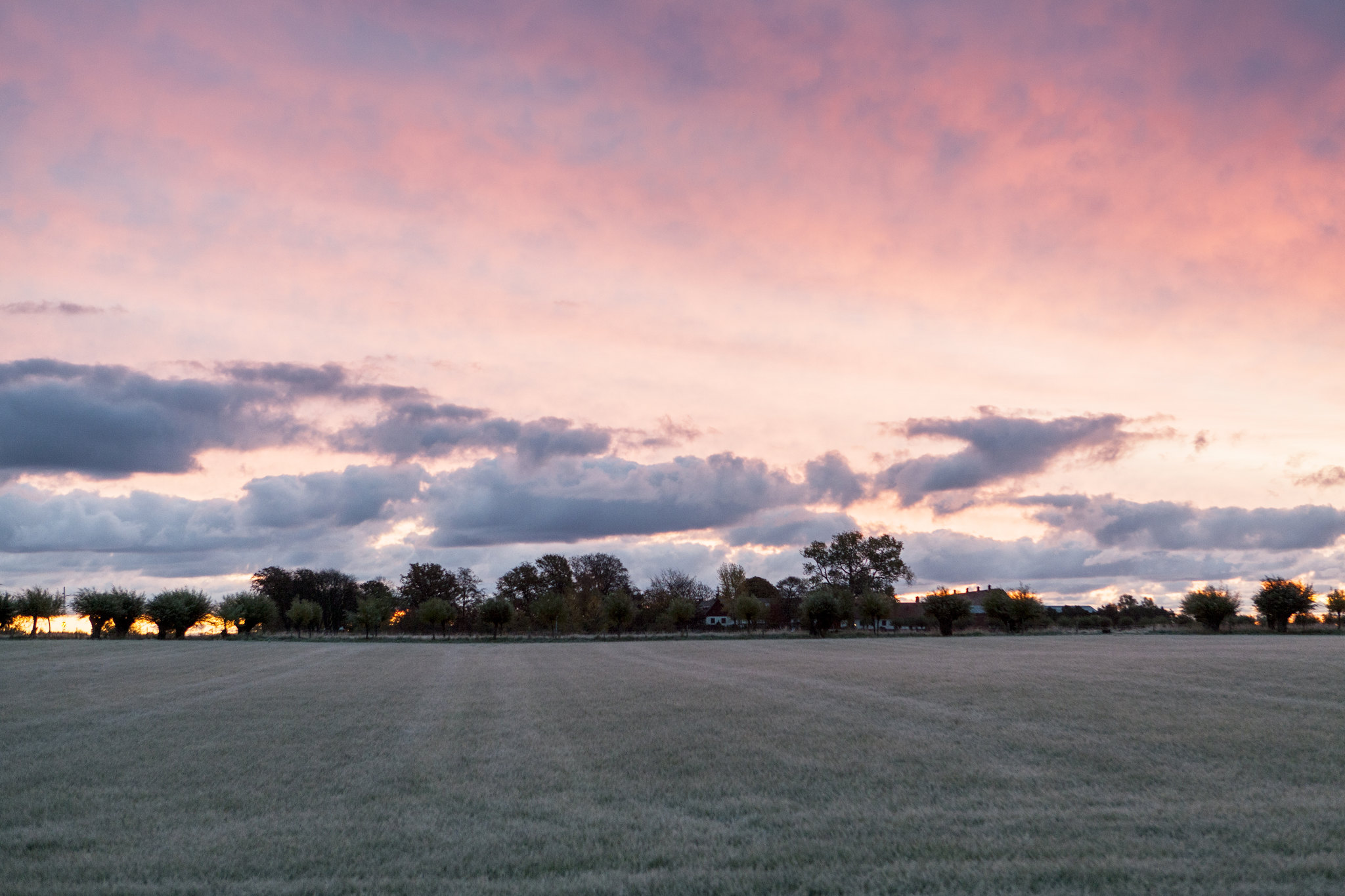 En åker i solnedgång.